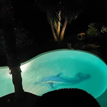 Beautiful With A Stunning View